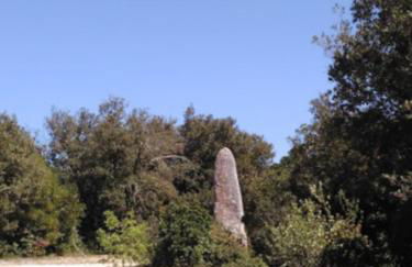 Sous les chênes - Photo 23