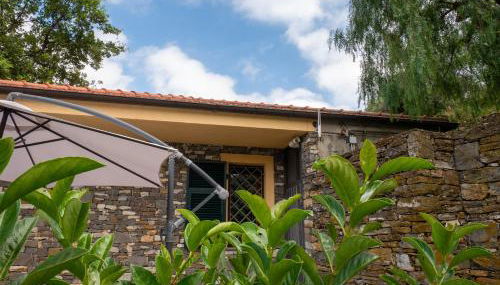 HOST4U - BORGATA VALLONE Apartments with Stunning Garden and Parking - Foto 5, Garden, Garden view