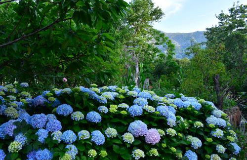 Mirsini Apartments - Foto 55