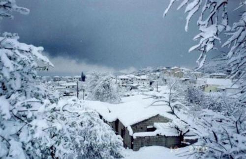 Bella Vista Apartments - Foto 30