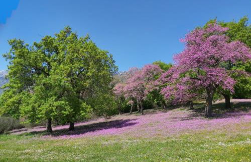 The Strawhouse under the mountain - Foto 56