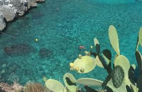 50m dal mare caraibico - Foto 26