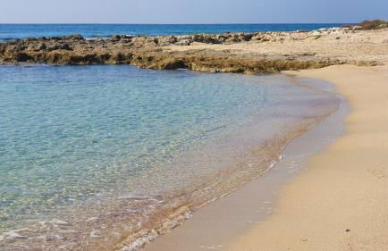 Wine Suite b&b - Foto 64