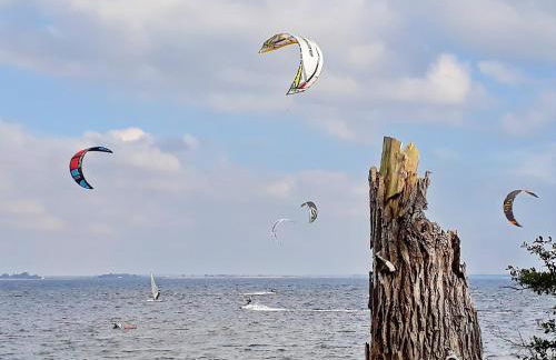 Ferienhaus mit Sauna in Boiensdorf am Salzhaff - Foto 44