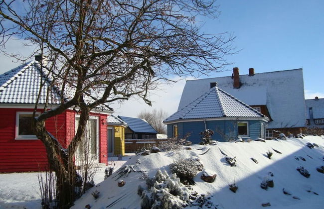 Yellow - Peter's Modern Retreat - Photo 13