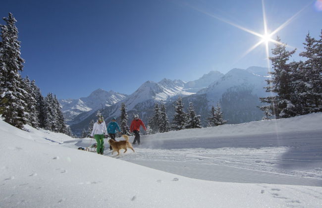 Süta Ötztal - Foto 49