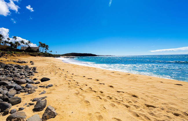 Paniolo Hale - Foto 27