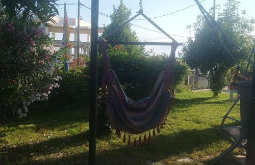 Kyllini am Meer relaxen mit Hund - Foto 21