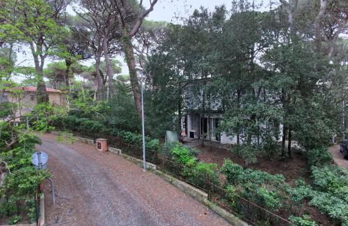 Huge Holiday Home in Marina di Castagneto Carducci near Sea - Foto 70