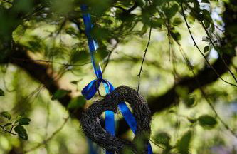 Agroturystyka Akacjowe Zacisze - Foto 44
