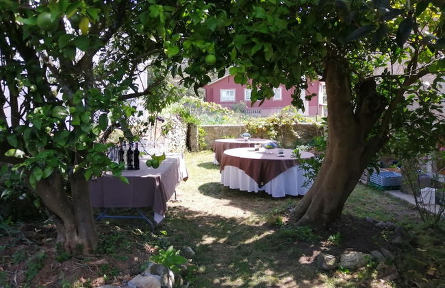 O Cruceiro - Photo 39