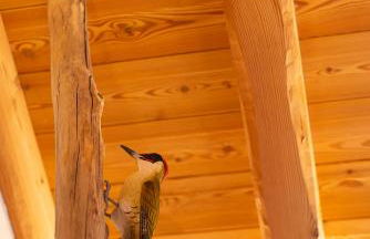 Casera Degnona - Foto 17