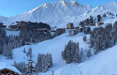 Résidence le DORONIC Duplex 8 pers La Plagne 1800 - Foto 52