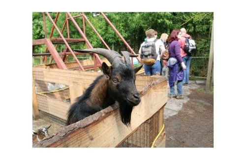 Holiday Apartment Ponywiese - Foto 33