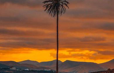 Finca Thiago - Foto 59