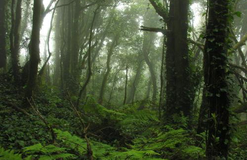 Casa las Dunas - Foto 50