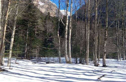 Casa Julio - Photo 47