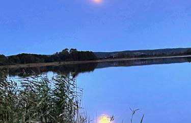 Seeidyll Potzlower See - Photo 7