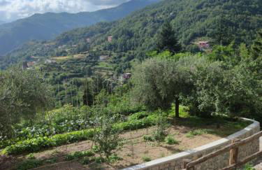 La Pezzuola 53 - Foto 50