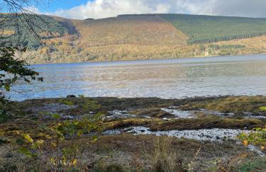 Thistle House Guest House - Foto 40