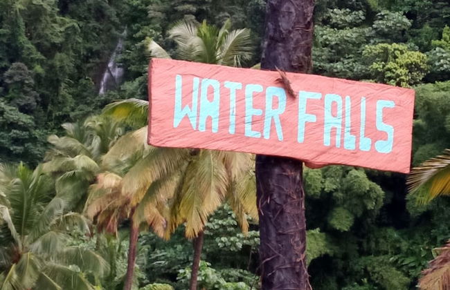 Berkey's Jungle Paradise - Photo 75