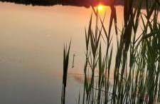 Domki Lawendowy Zakątek - Foto 33