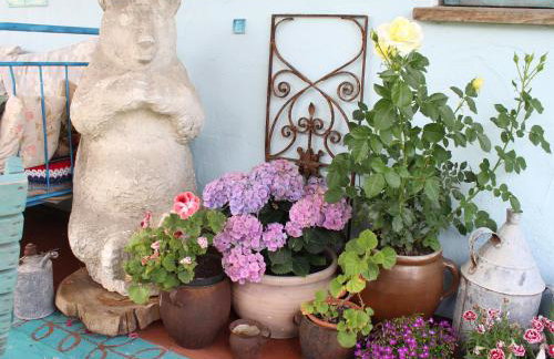 Pod tulipanem nad jeziorem - Foto 29