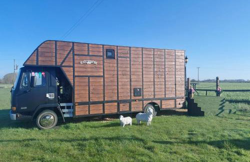 GiGi's Horsebox - Foto 1