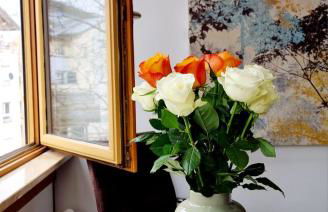 Ferienwohnung "Elsnerstrasse" - Foto 13