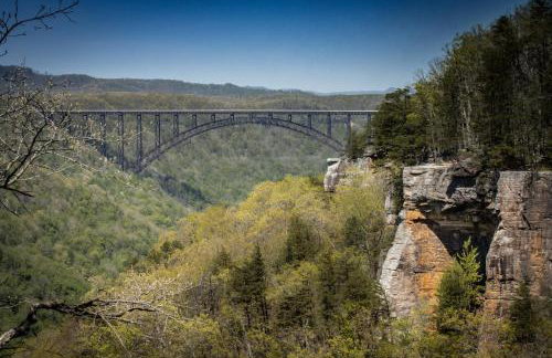 Wooded Circle - Barrel sauna, hot tub, fire pit - Foto 46