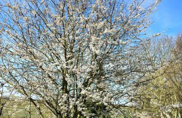 Wolds View - Foto 37