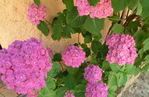 Apartamento en pleno Montseny Mas Romeu Turisme Rural - Foto 35