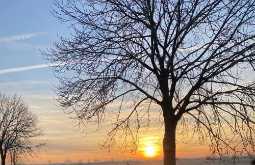 Das Atelier - Foto 38