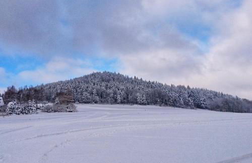 Großzügige Fewo Peter in Bärenstein - Foto 17