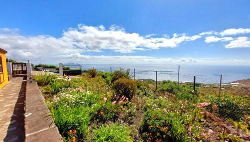 Lina - Foto 3, Garden