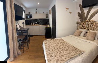 Le Chêne Doré Appartement romantique avec Jacuzzi Privé au cœur du centre touristique - Foto 6