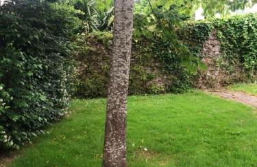 HdeC Hosteria de Castañeda Alojamiento Turistico - Foto 42