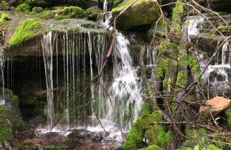 Blue Knob Bear Den (Nordic Center/Golf Course) - Foto 22