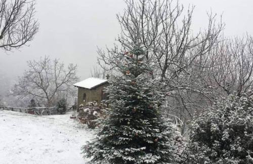 Παραδοσιακή πέτρινη κατοικία στην Βλάχα Ελάτης - Foto 26