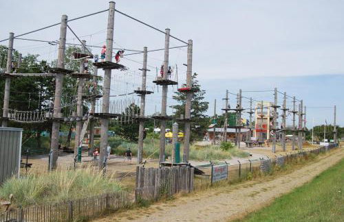 Rittersporn - Foto 19