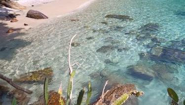 Casa com Praia no quintal - Foto 5