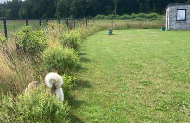 Haus der Ruhe zw. den Meeren - Foto 41