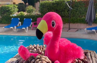 Les Bougainvillées de Camargue - Photo 53