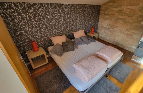 Terrasses du Zimmerberg - Photo 4