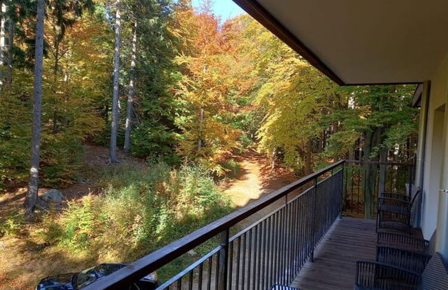 Apartment in Szklarska Poreba With Mountains View - Photo 18