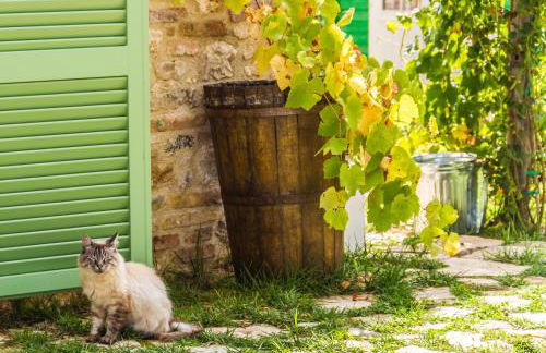 Il Colle sulla Flaminia - Foto 29