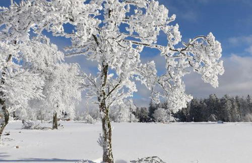 Ferienwohnung Hankeln - Foto 41