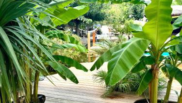 La Maison Du Soleil - Foto 2