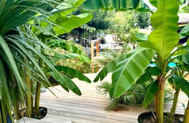 La Maison Du Soleil - Foto 2