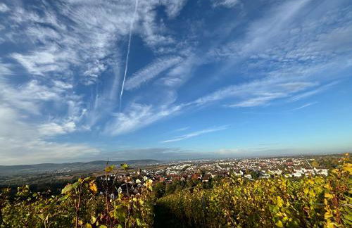 Großzügige Ferienwohnung im Remstal - Foto 23